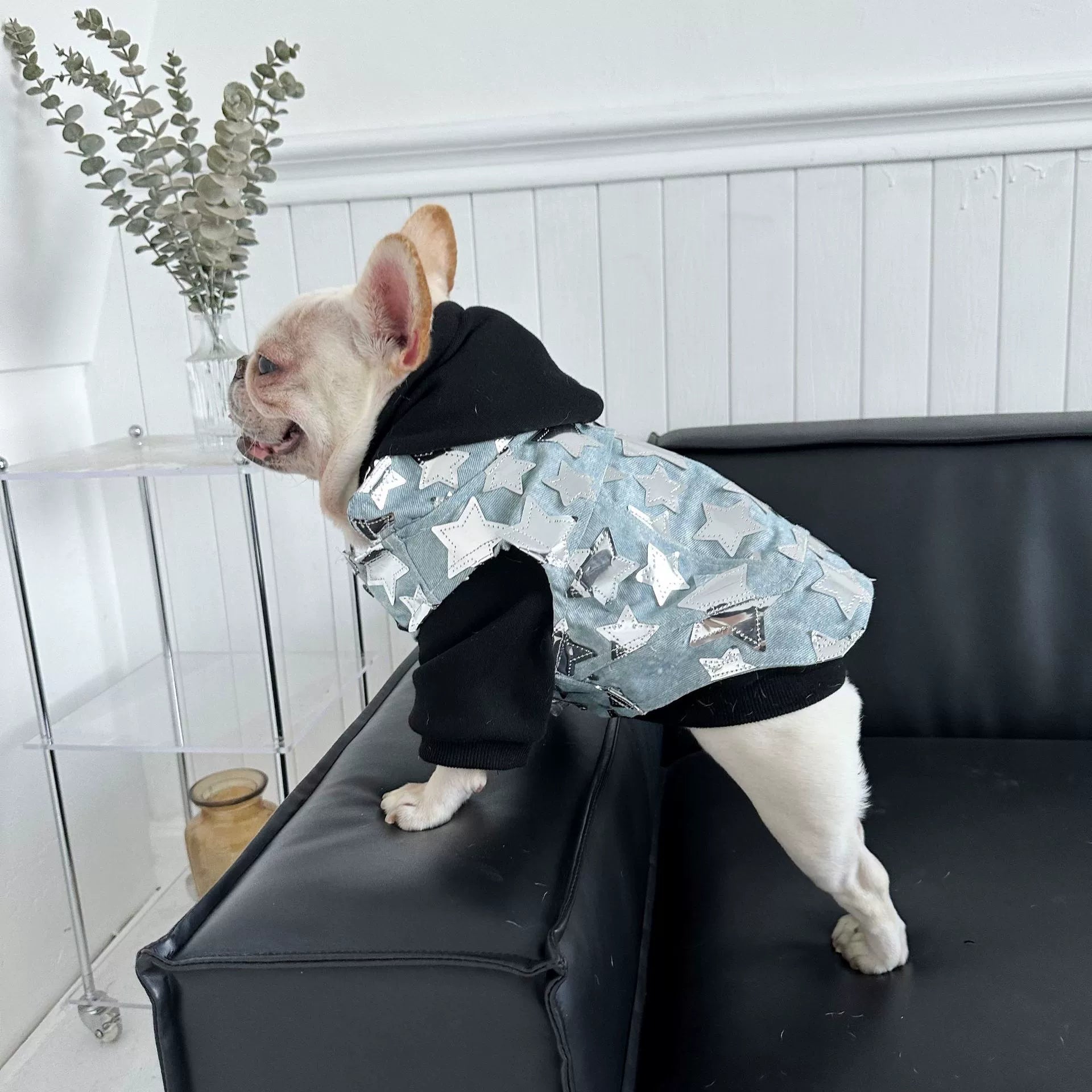 Dog Fancy Stars Denim Vest DogFancyStarsDenimVestformediumdogsbyFrenchiely_3