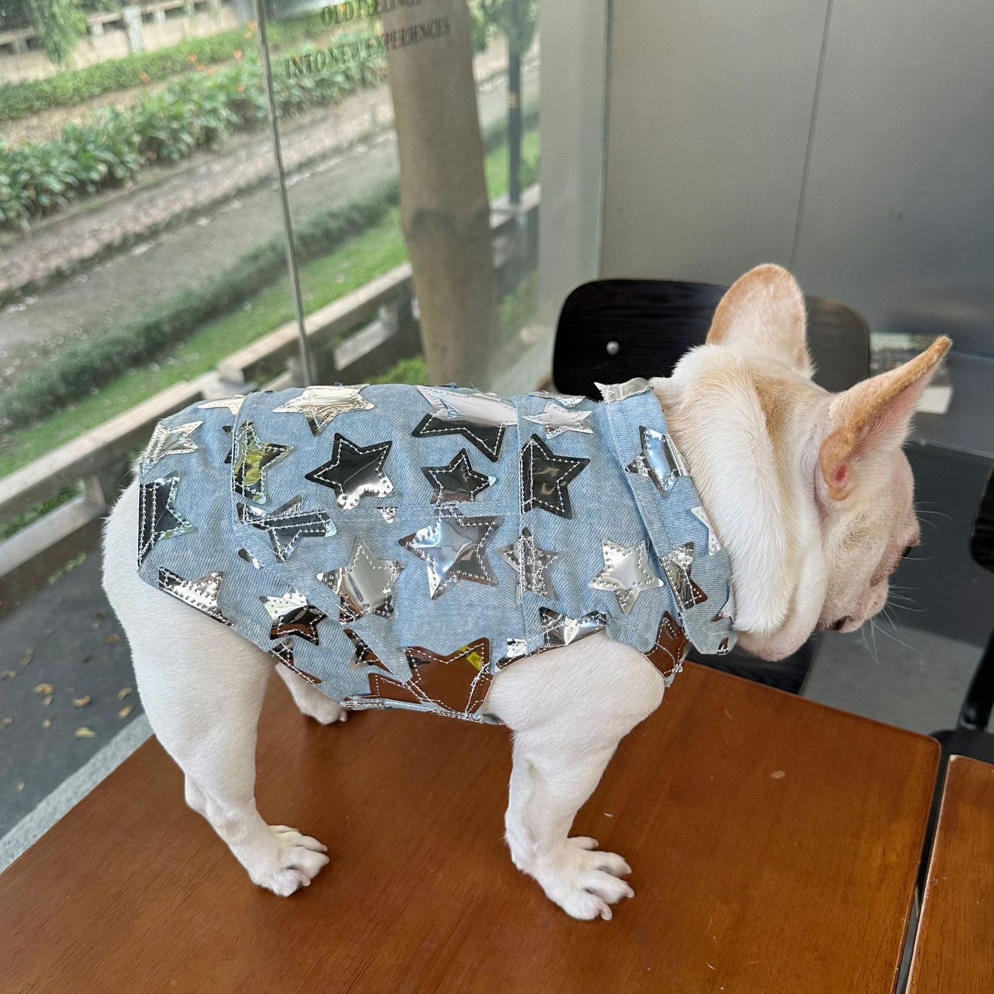 Dog Fancy Stars Denim Vest DogFancyStarsDenimVestformediumdogsbyFrenchiely_5