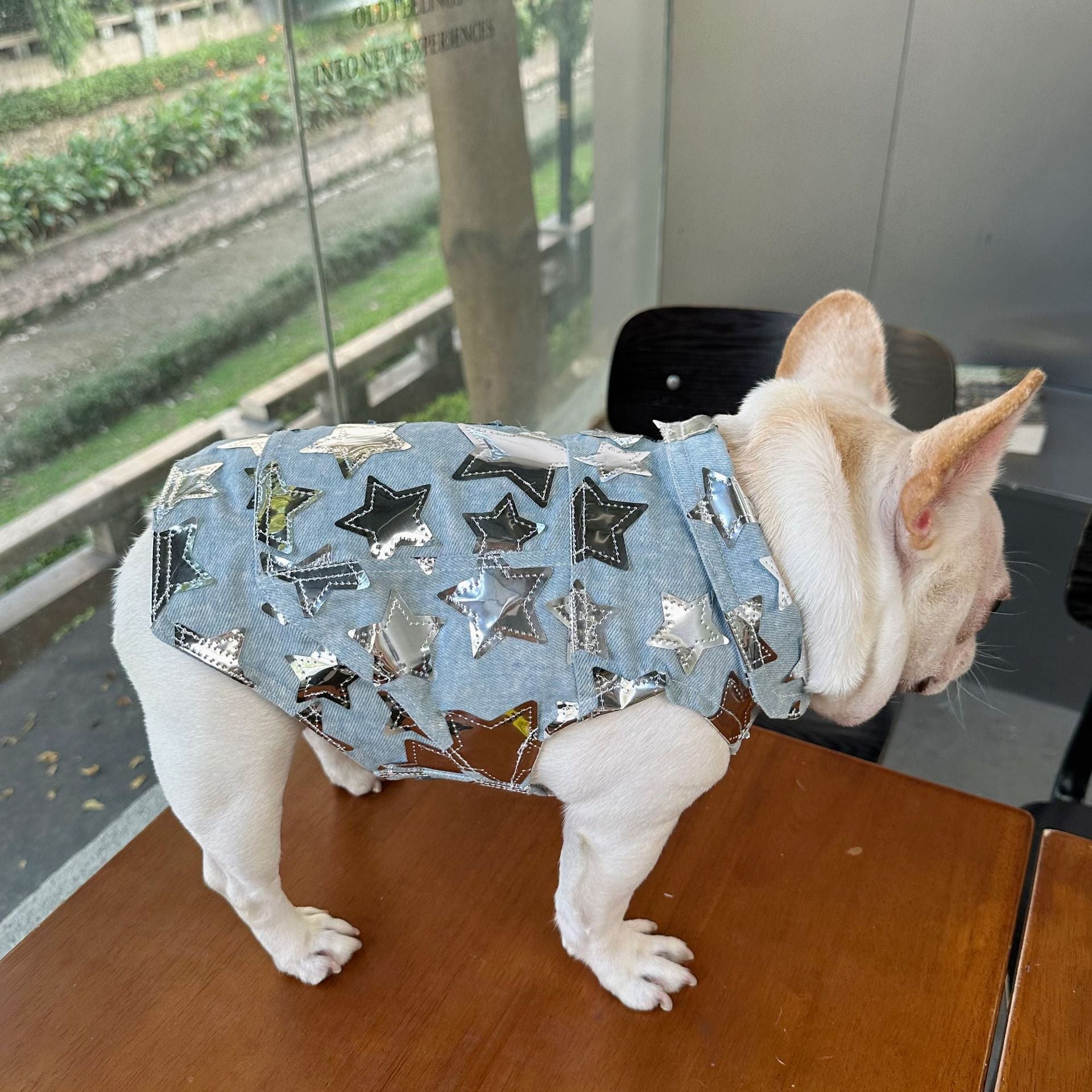 Dog Fancy Stars Denim Vest DogFancyStarsDenimVestformediumdogsbyFrenchiely_5