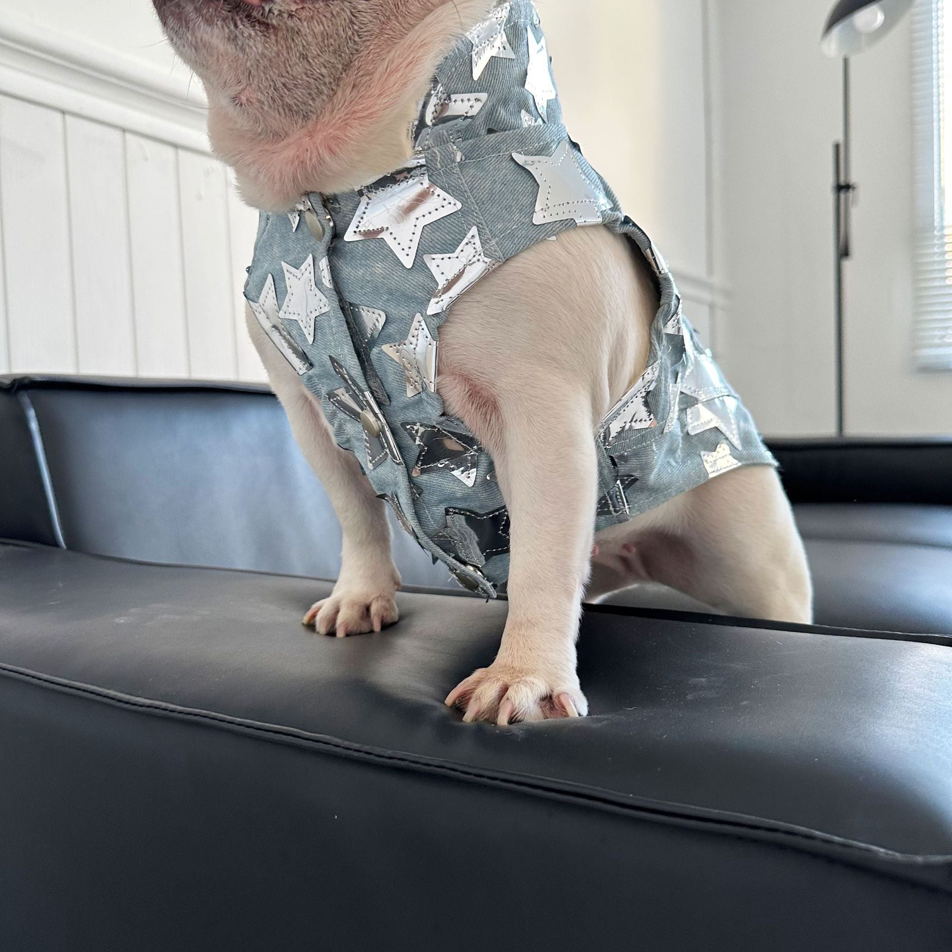 Dog Fancy Stars Denim Vest DogFancyStarsDenimVestformediumdogsbyFrenchiely_7
