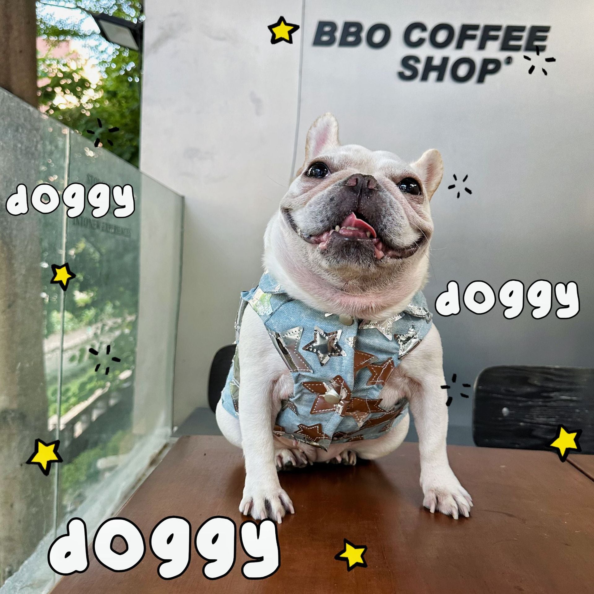Dog Fancy Stars Denim Vest DogFancyStarsDenimVestformediumdogsbyFrenchiely_8