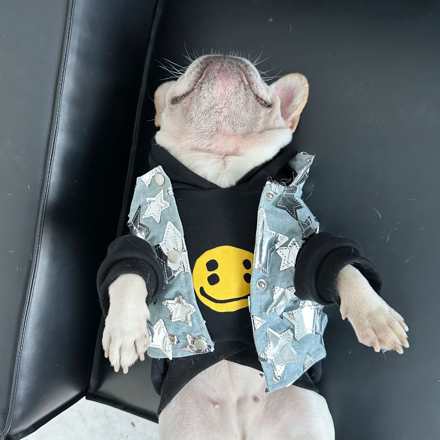 Dog Fancy Stars Denim Vest DogFancyStarsDenimVestformediumdogsbyFrenchiely_9