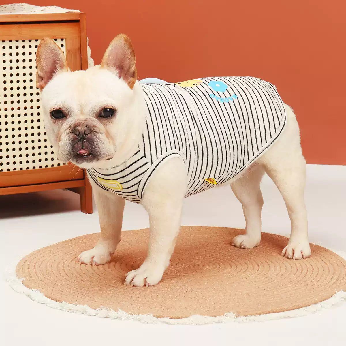 Funny Bee Costume Shirt DogFunnyBeeCostumeShirtforSmallMediumDogBreedsbyFrenchiely_5