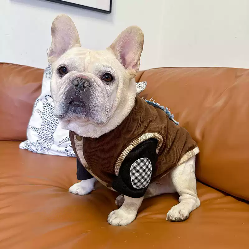 Maillard Vintage Vest Coat with D-ring DogMaillardVintageVestCoatwithD-ringformediumdogs_5_94e10529-1f2c-43f8-96b6-1a470533f958