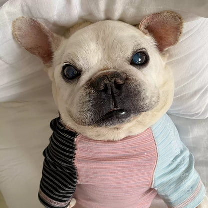 Pink Stripe Shirt DogPinkStripeShirtforFrenchBulldogs
