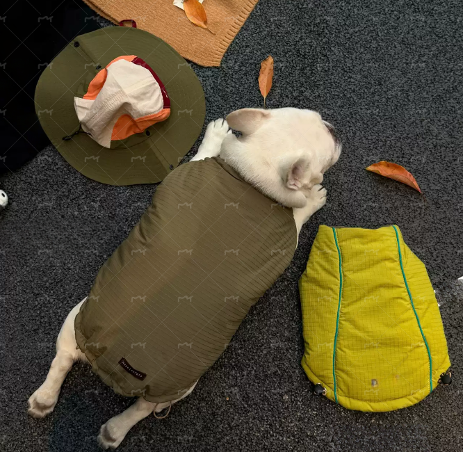 Reversible Inside-Out Warm Jacket DogReversibleInside-OutWarmJacketforFrenchBulldogs_1