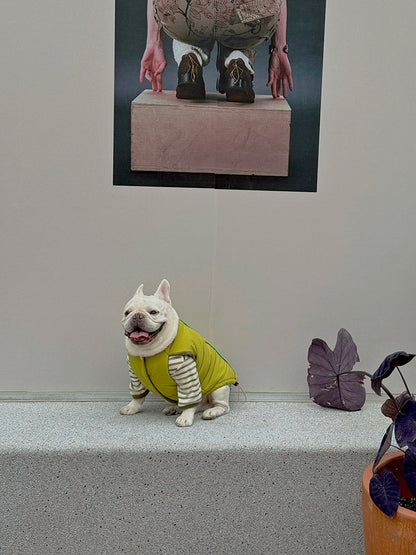 Reversible Inside-Out Warm Jacket DogReversibleInside-OutWarmJacketforFrenchBulldogs_8