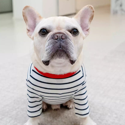 Stripe Shirt with Dachshund Pattern DogStripeShirtwithDachshundPatternforsmallmediumdogsbyFrenchiely_2
