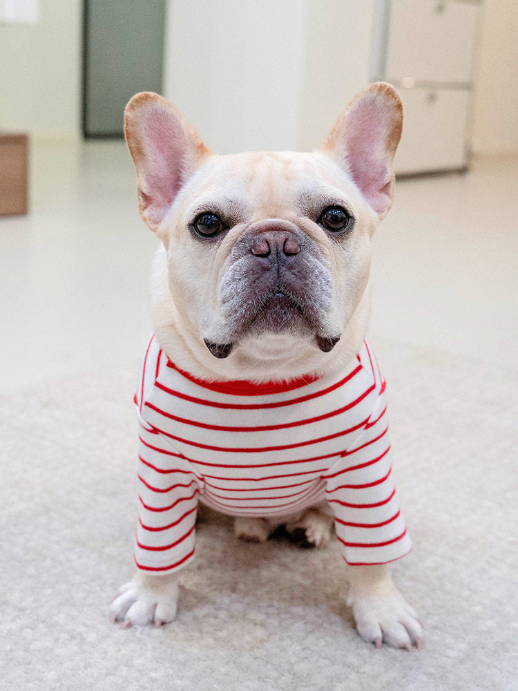 Stripe Shirt with Dachshund Pattern DogStripeShirtwithDachshundPatternforsmallmediumdogsbyFrenchiely_5