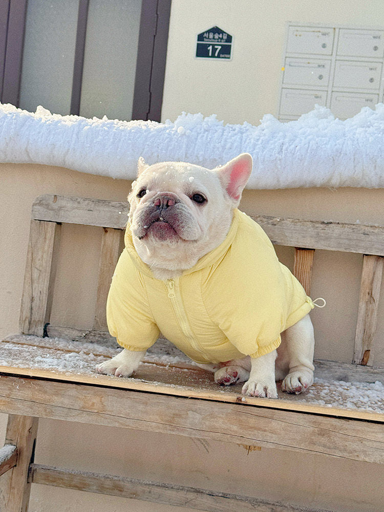 Warm Monster Coat DogYellowMonsterCoatJacketformediumdogbreeds_10