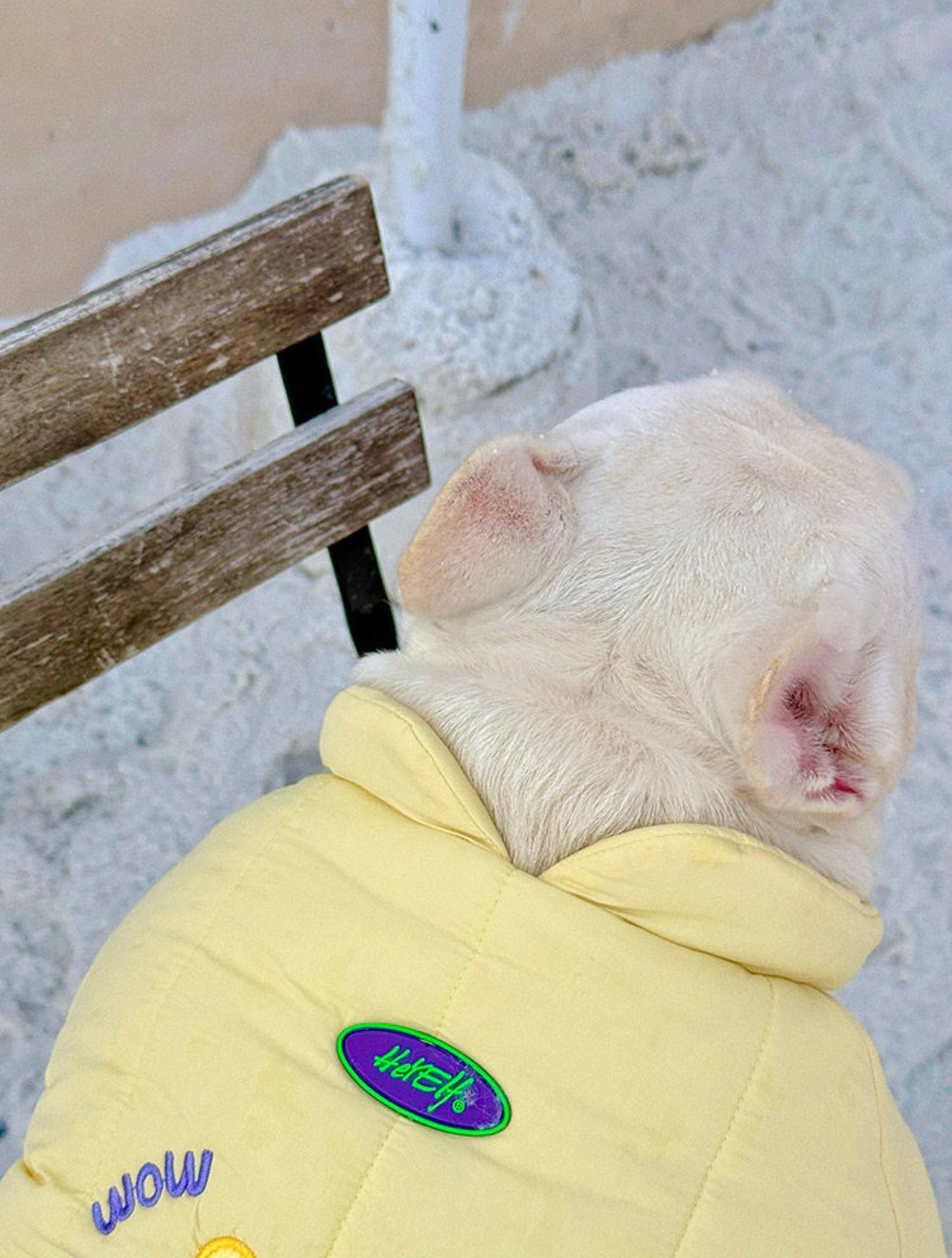 Warm Monster Coat DogYellowMonsterCoatJacketformediumdogbreeds_13