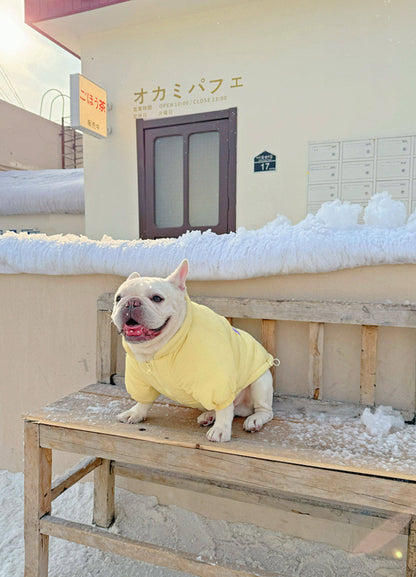Warm Monster Coat DogYellowMonsterCoatJacketformediumdogbreeds_15
