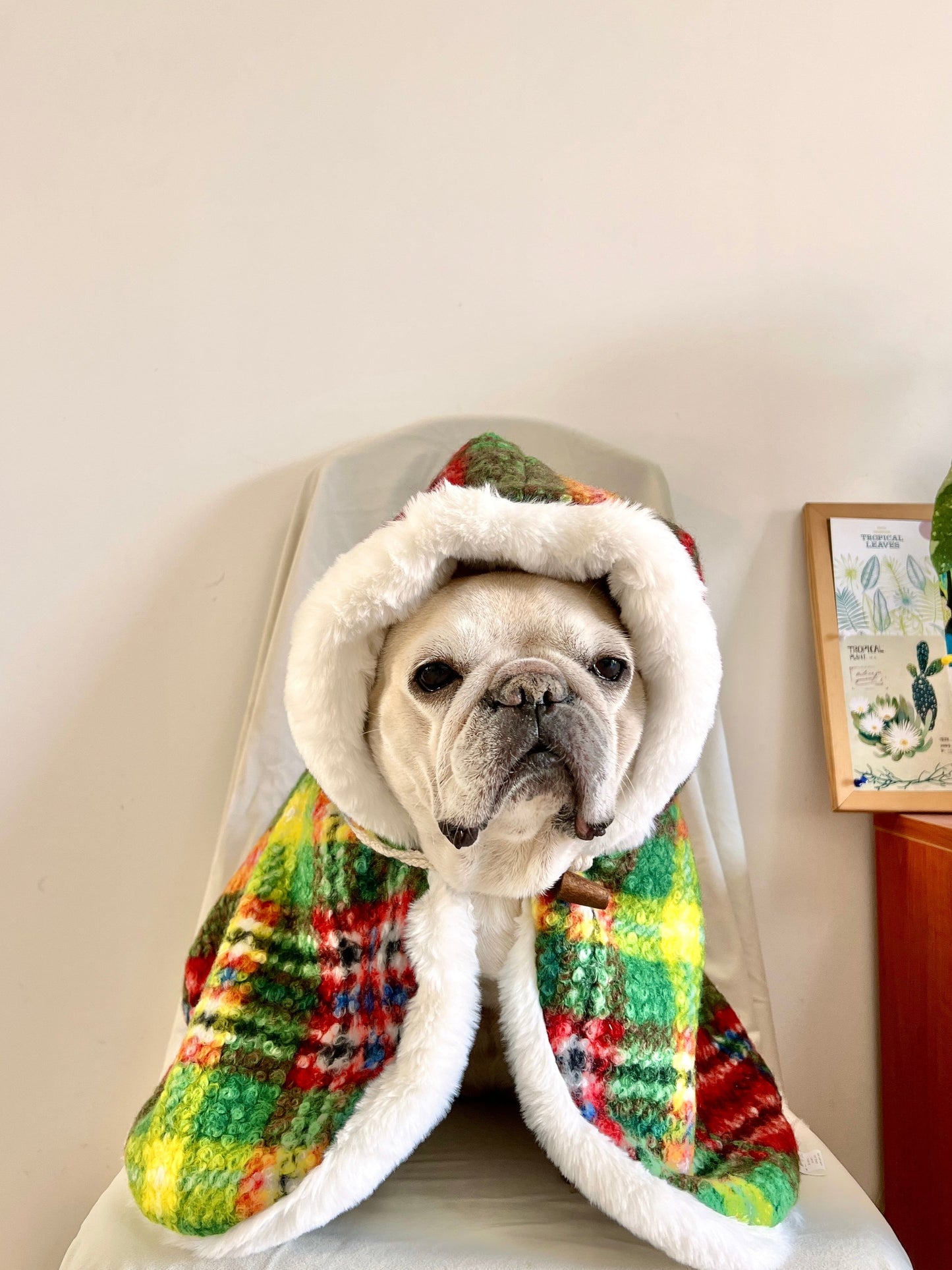 Dog Christmas Holiday Outfits Cloak for French Bulldogs