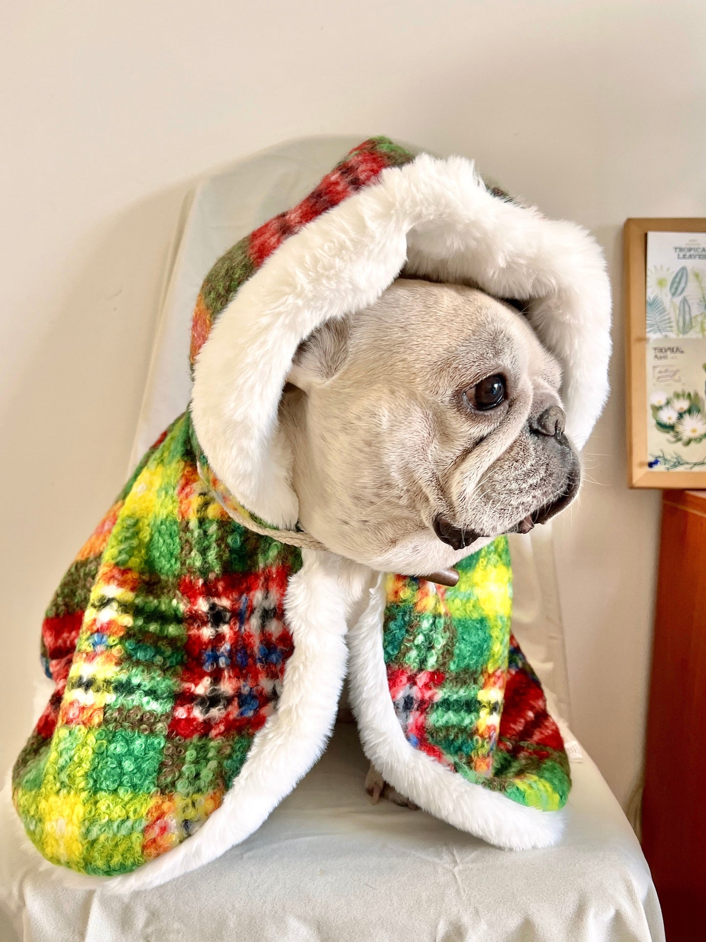 Dog Christmas Holiday Outfits Cloak for French Bulldogs
