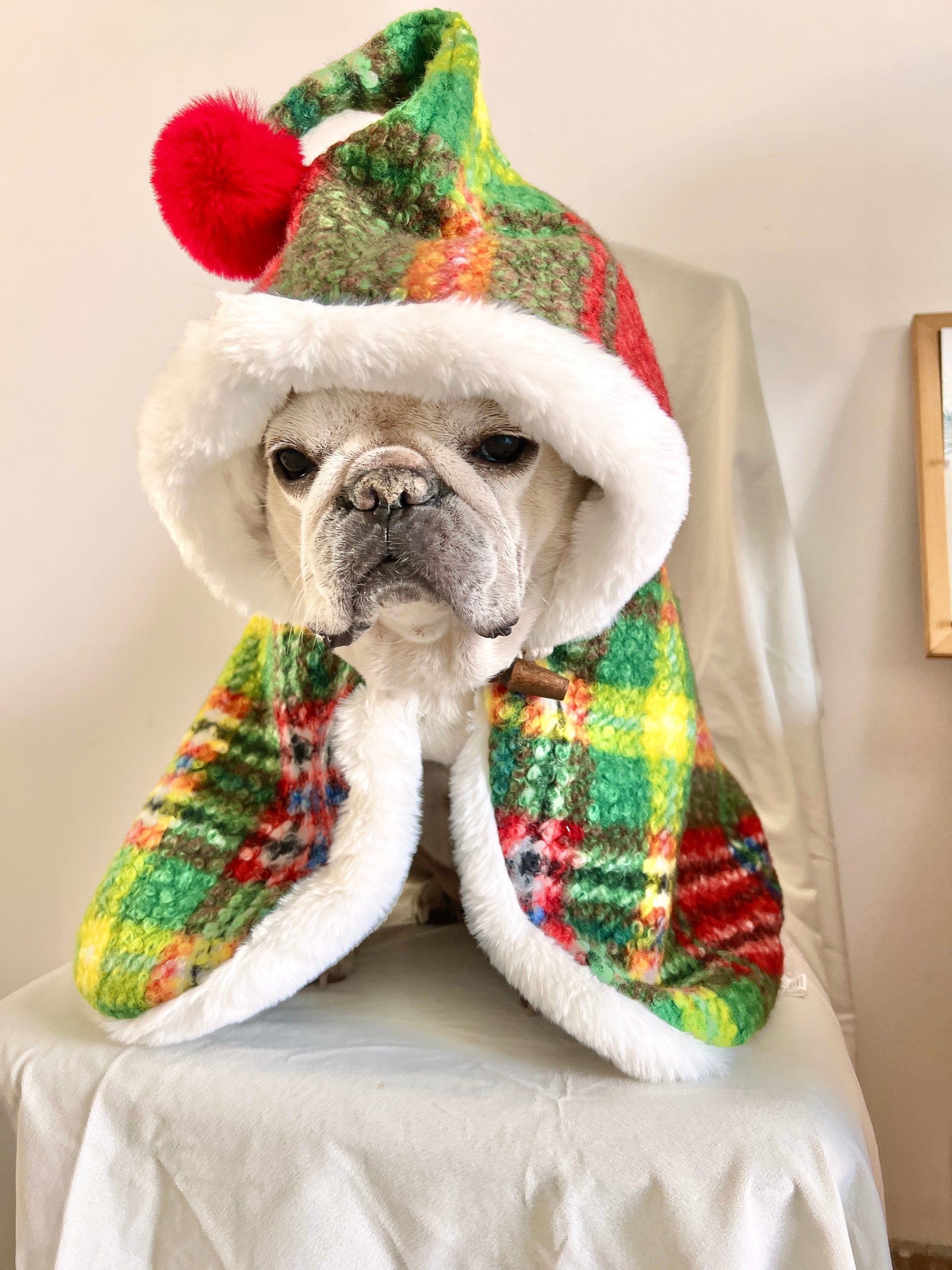 Dog Christmas Holiday Outfits Cloak for French Bulldogs