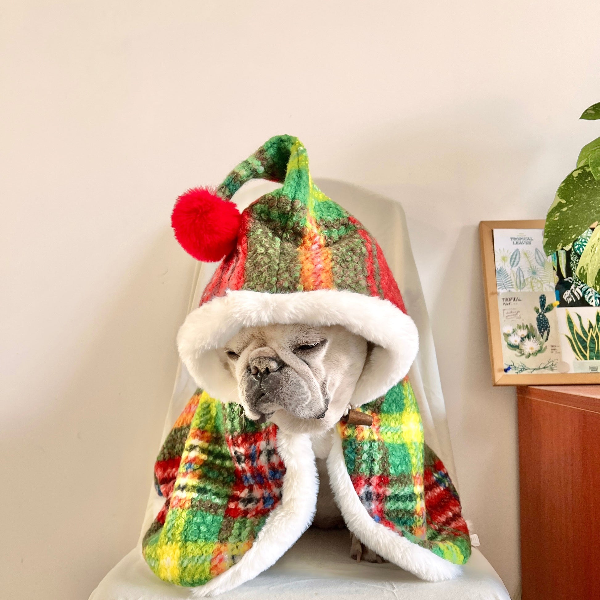 Dog Christmas Holiday Outfits Cloak for French Bulldogs
