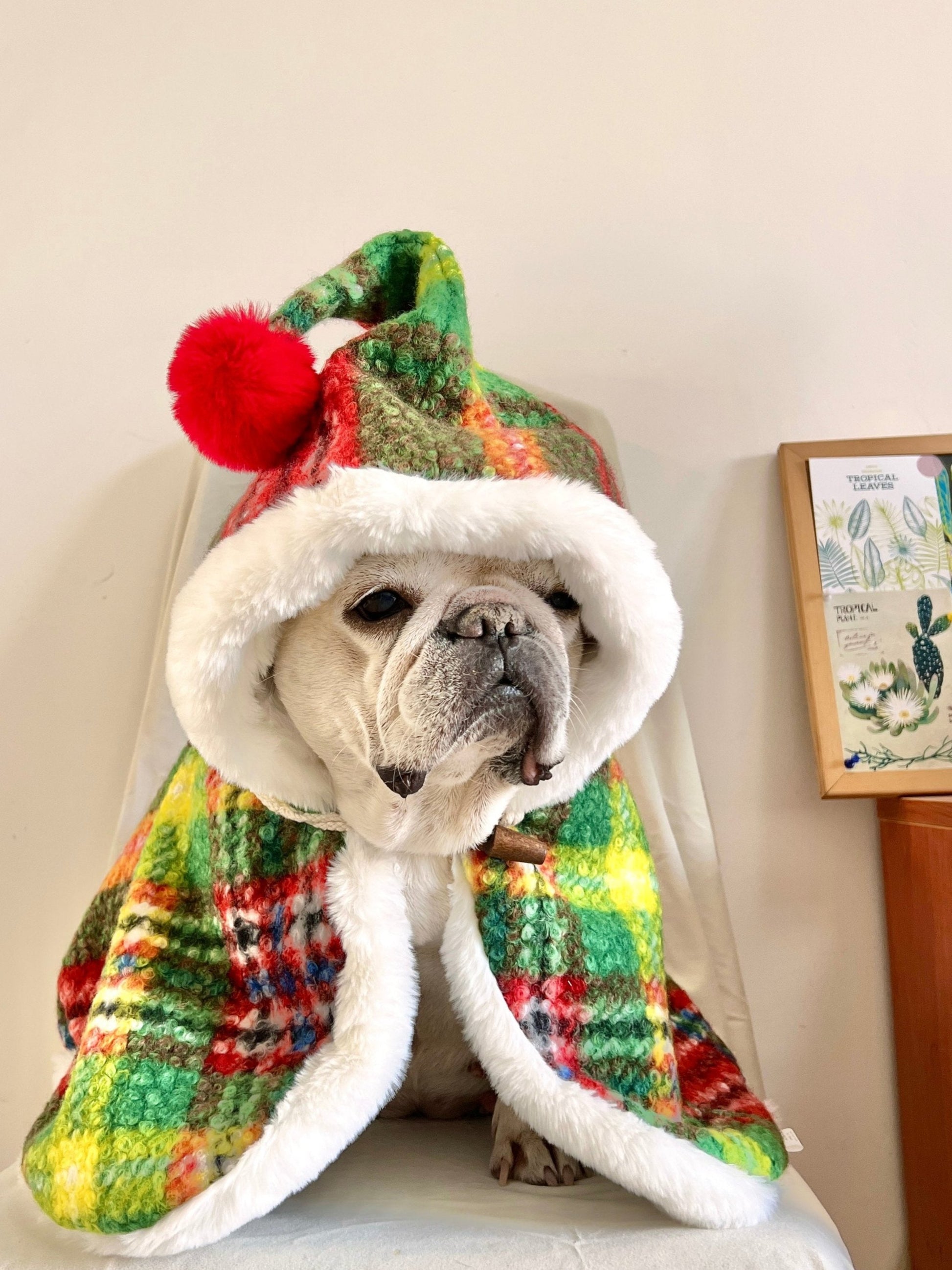 Dog Christmas Holiday Outfits Cloak for French Bulldogs