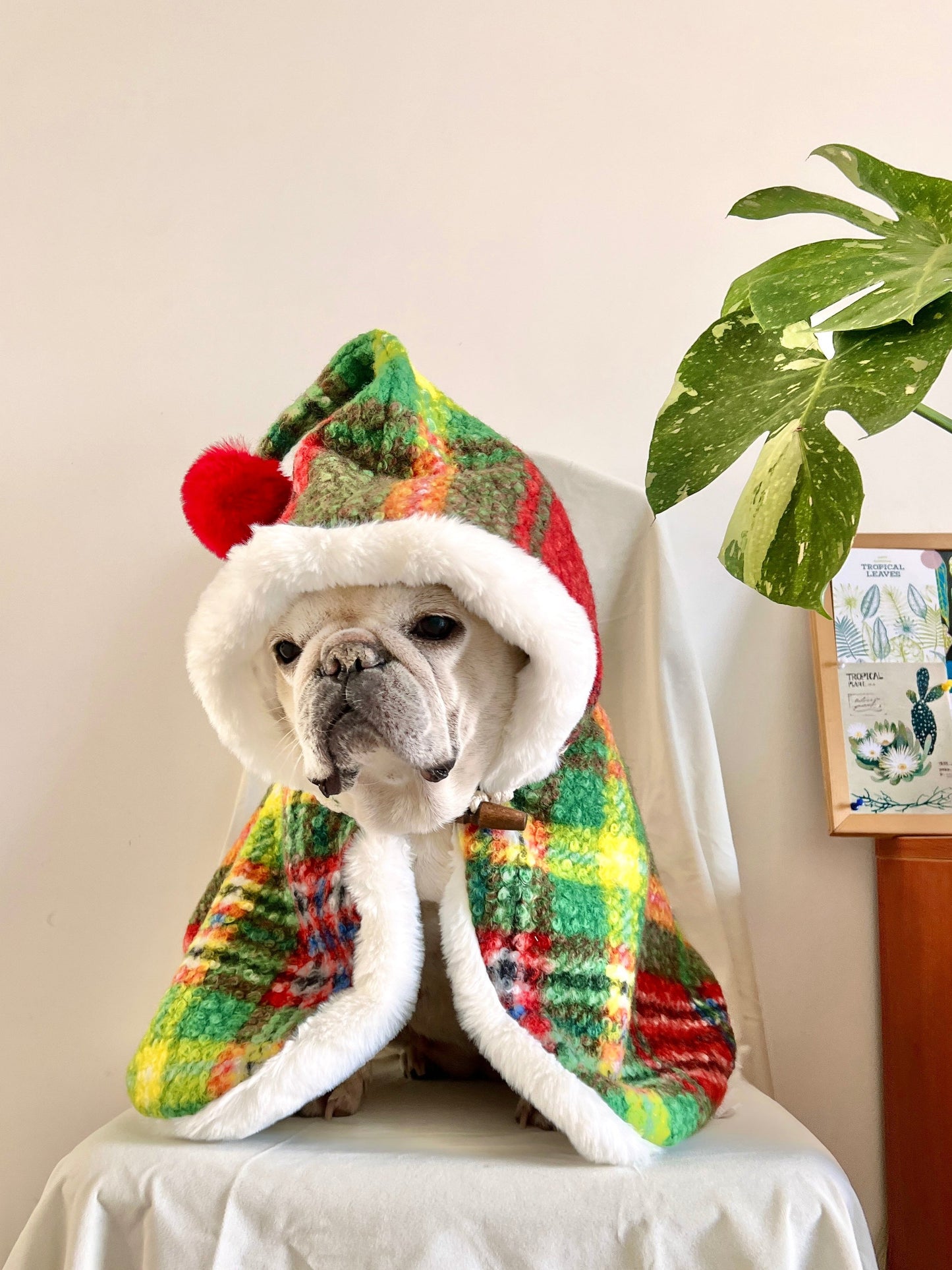 Dog Christmas Holiday Outfits Cloak for French Bulldogs