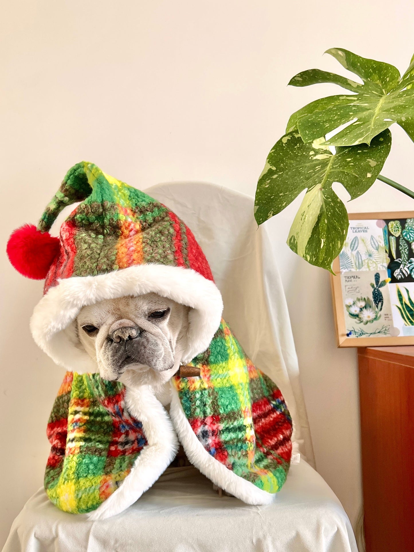 Dog Christmas Holiday Outfits Cloak for French Bulldogs