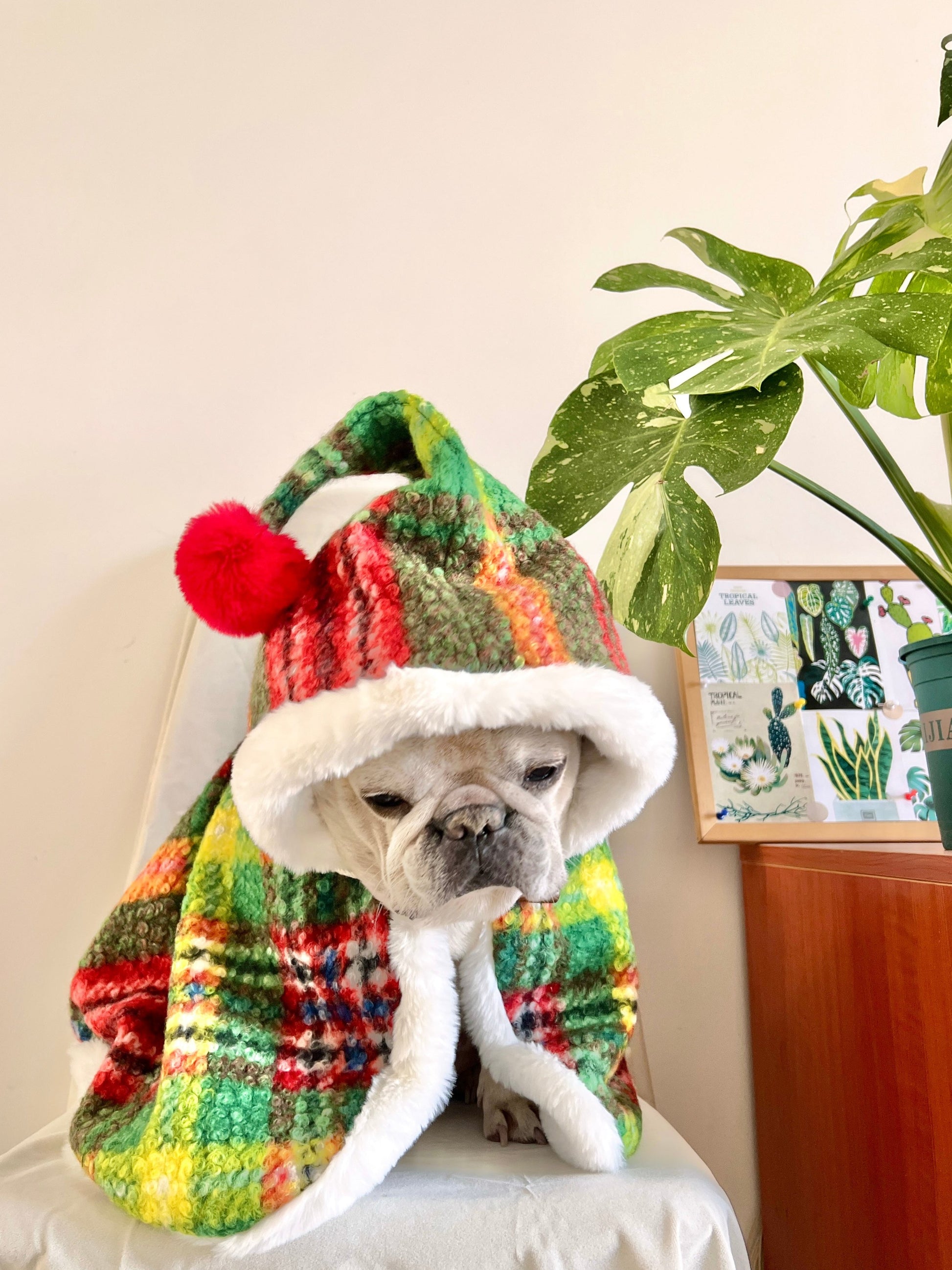 Dog Christmas Holiday Outfits Cloak for French Bulldogs