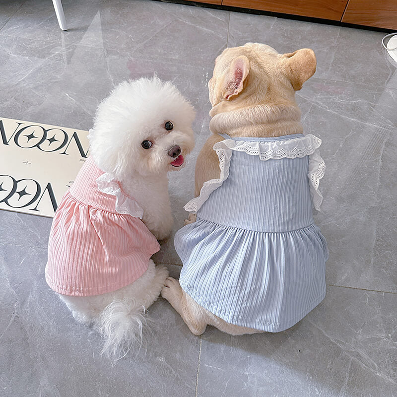 dog pink and blue summer dress for small medium dogs 
