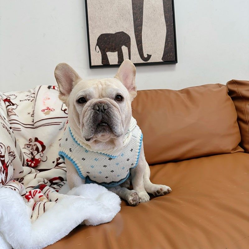 Doggie Pattern Vintage Sweater DoggiePatternVintageSweaterwithstylishneckscarfbyFrenchiely_11