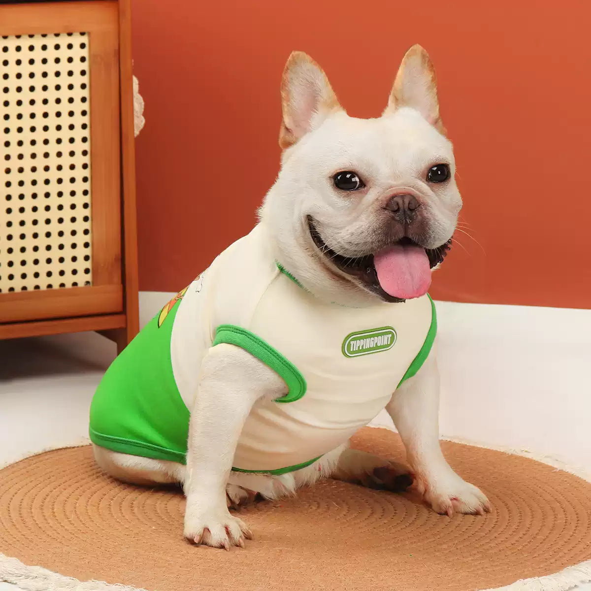 Green Cartoon Shirt DoggreenwithwhiteshirtforsmallmediumdogsbyFrenchiely_4