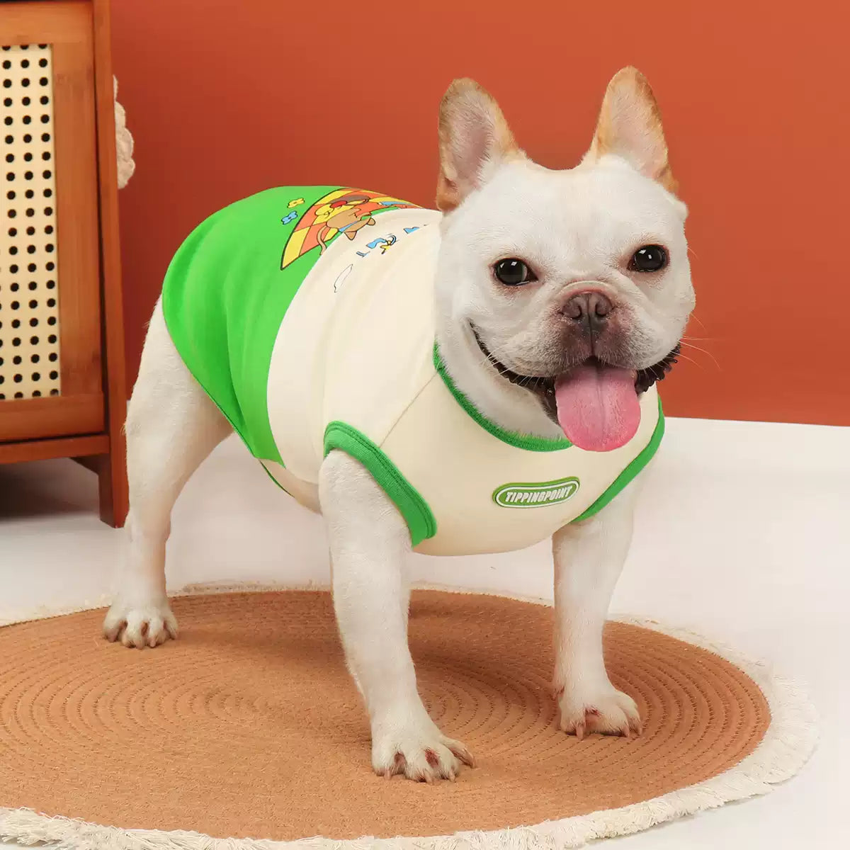 Green Cartoon Shirt DoggreenwithwhiteshirtforsmallmediumdogsbyFrenchiely_6