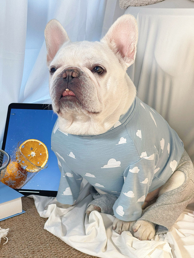 Dog Sring Autumn Onesie PJs DoglightblueandyellowonesiepajamasformediumdogsbyFrenchiely_2