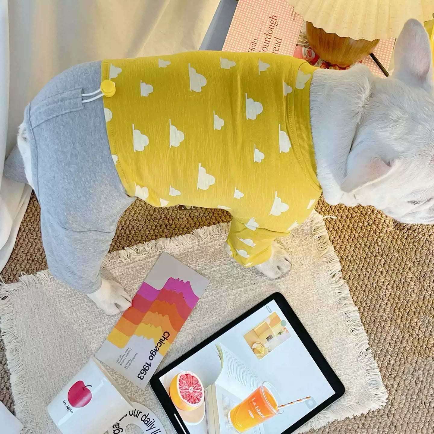 Dog Sring Autumn Onesie PJs DoglightblueandyellowonesiepajamasformediumdogsbyFrenchiely_5