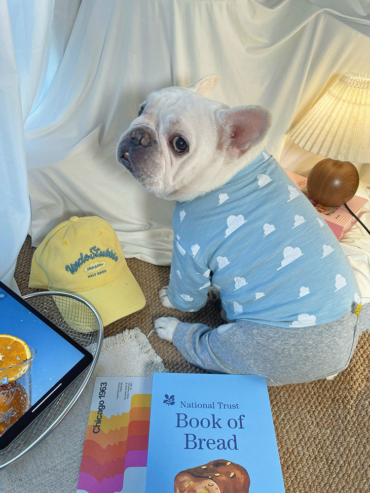 Dog Sring Autumn Onesie PJs DoglightblueandyellowonesiepajamasformediumdogsbyFrenchiely_6