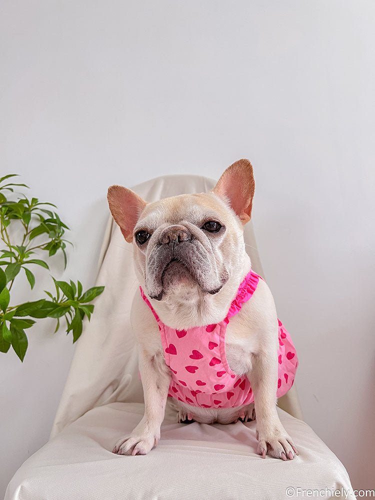 dog pink heart dress for female medium dogs by frenchiely