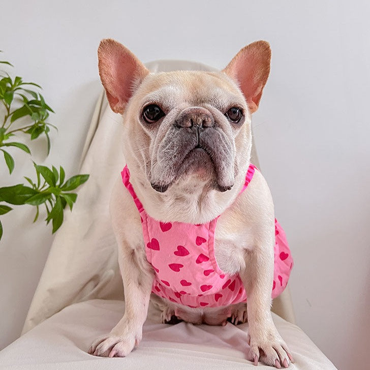 dog pink heart dress for female medium dogs by frenchiely