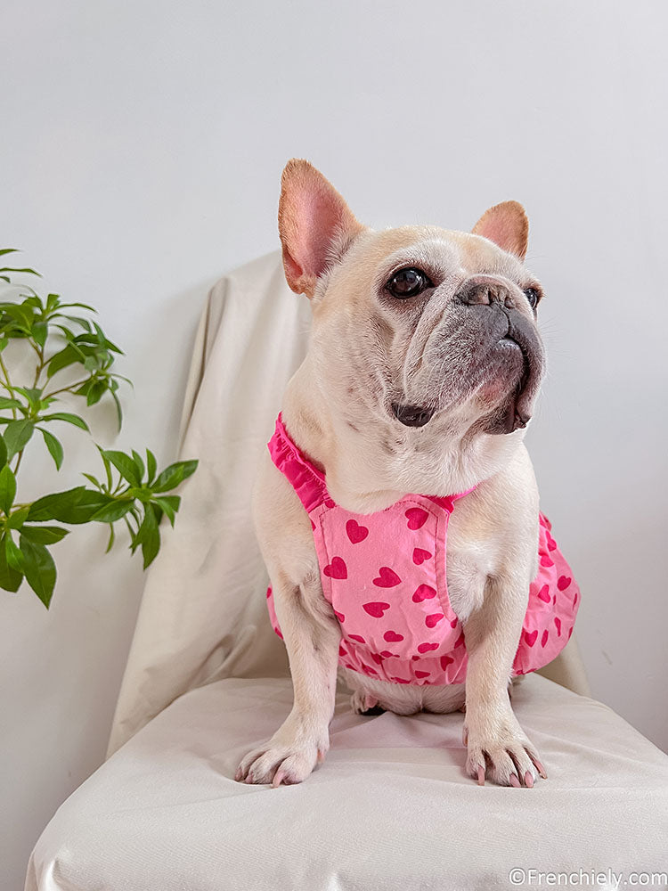 dog pink heart dress for female medium dogs by frenchiely