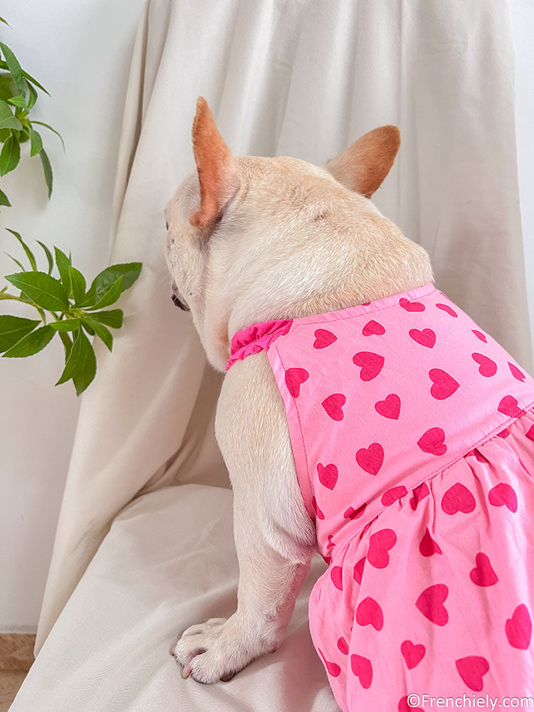 dog pink heart dress for female medium dogs by frenchiely