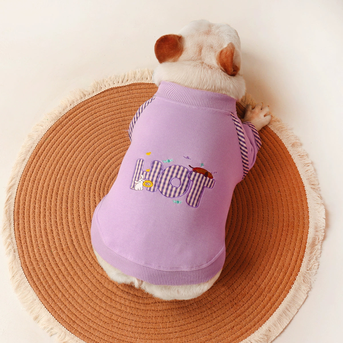 Purple' HOT' Shirt Dogpurpleshirt_HOT_byfrenchiely_1