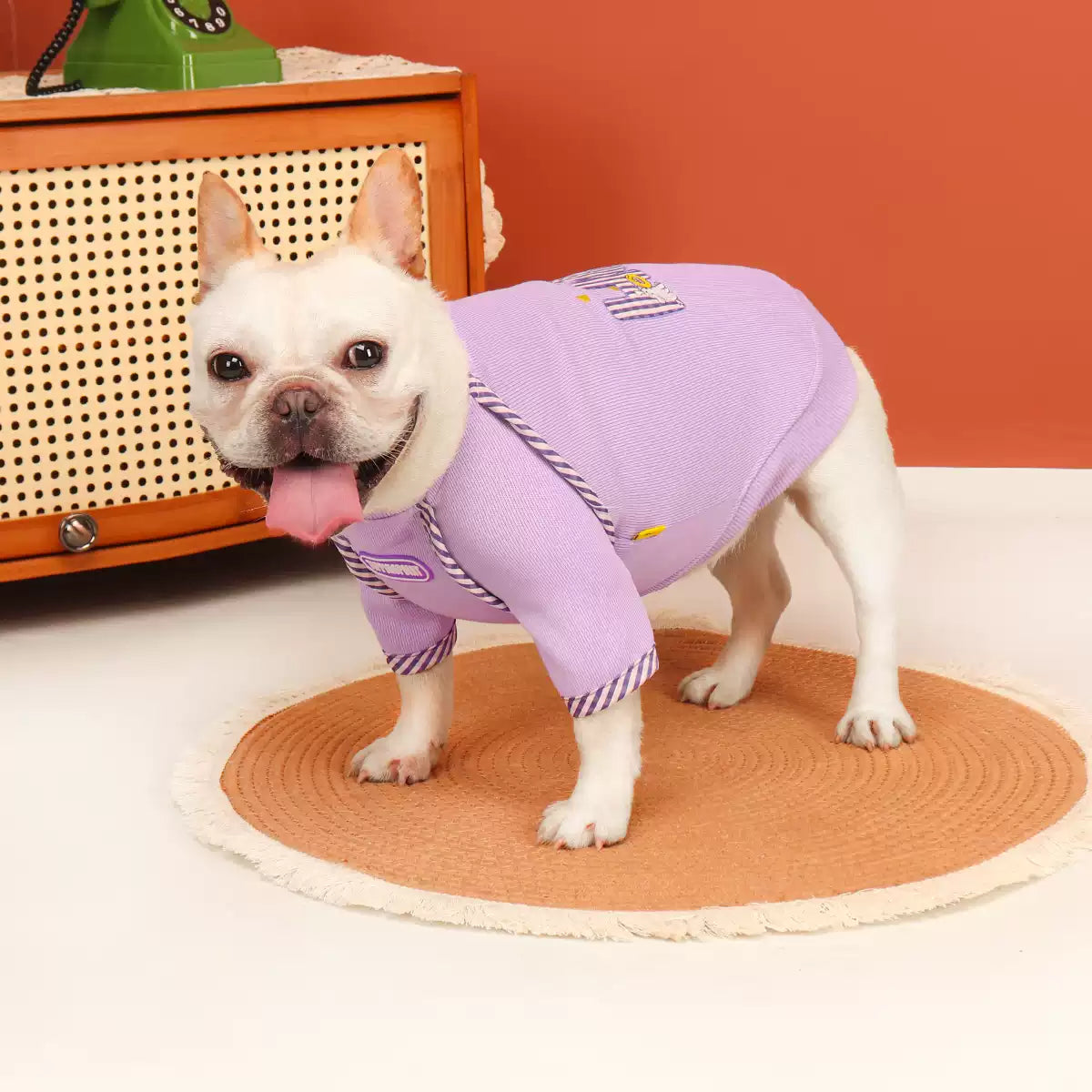 Purple' HOT' Shirt Dogpurpleshirt_HOT_byfrenchiely_5