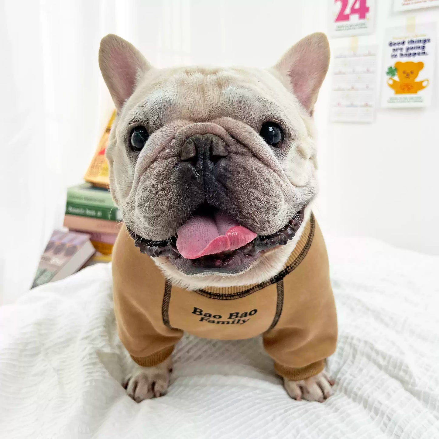 Cartoon Doggie Pajamas