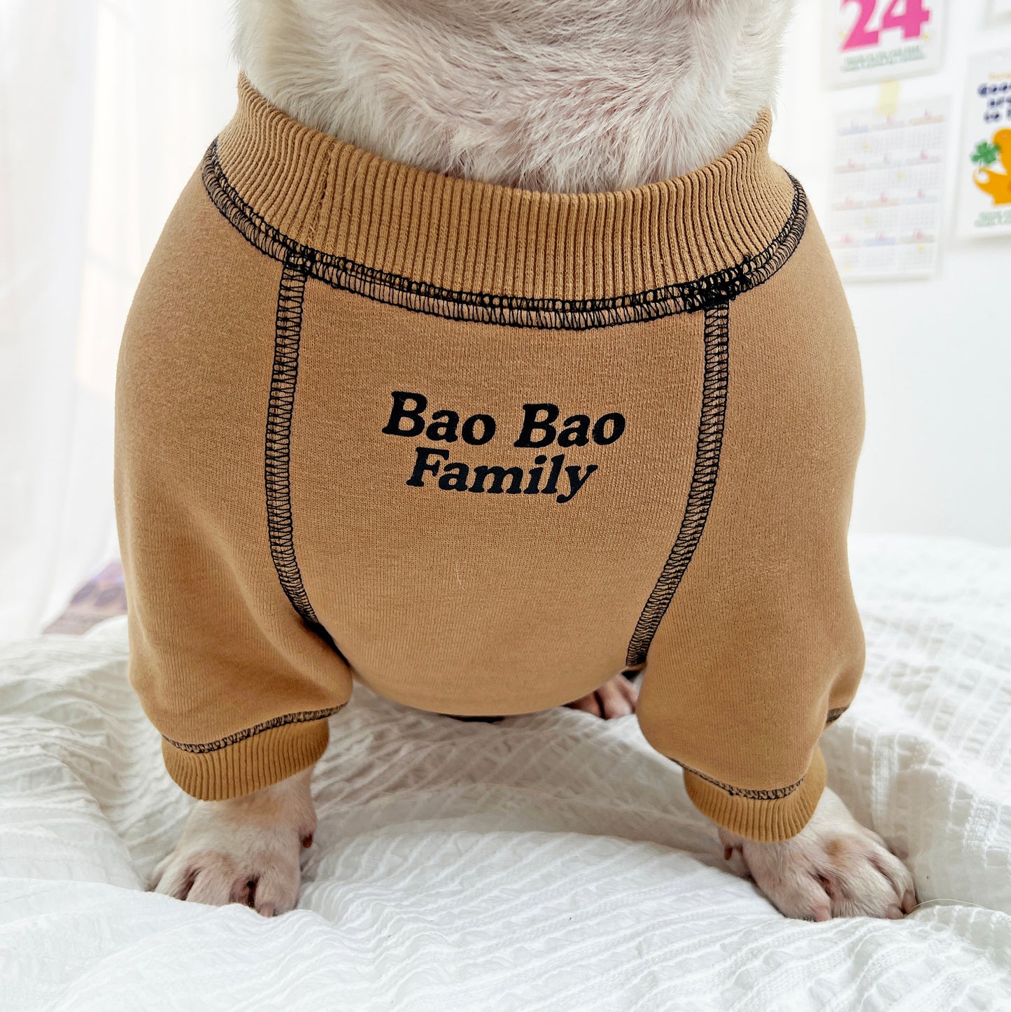 Cartoon Doggie Pajamas