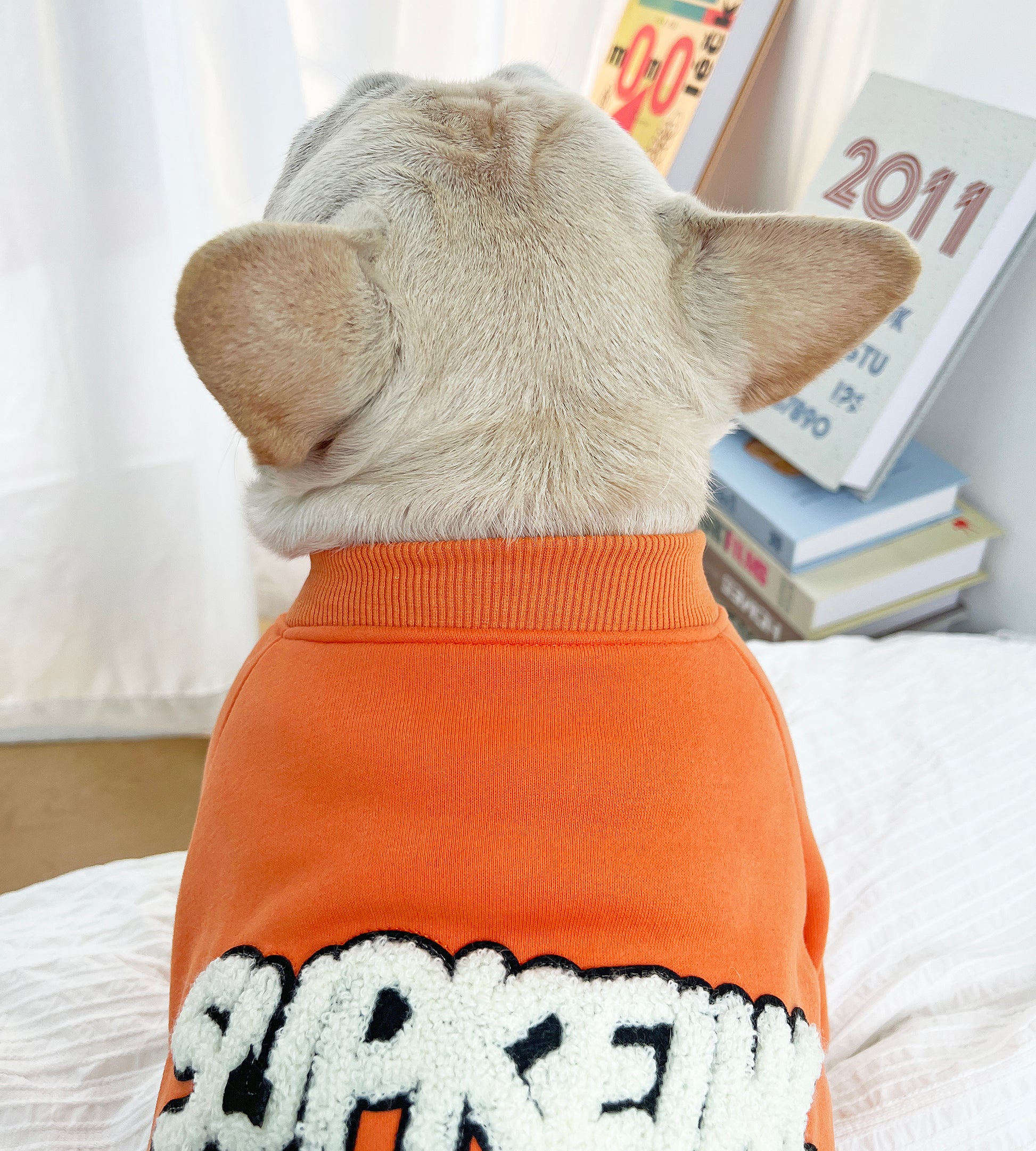 Warm Sheep Jumpsuit DogwinterwarmSheepJumpsuitpajamasformediumdogsbyFrenchiely_6