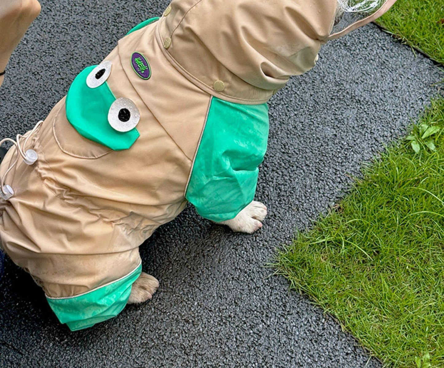 French Bulldog Frog Raincoat FrenchBulldogFrogRaincoatbyFrenchiely_11