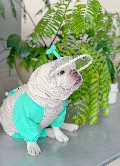 French Bulldog Frog Raincoat FrenchBulldogFrogRaincoatbyFrenchiely_3