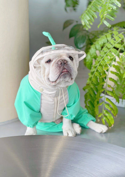 French Bulldog Frog Raincoat FrenchBulldogFrogRaincoatbyFrenchiely_5