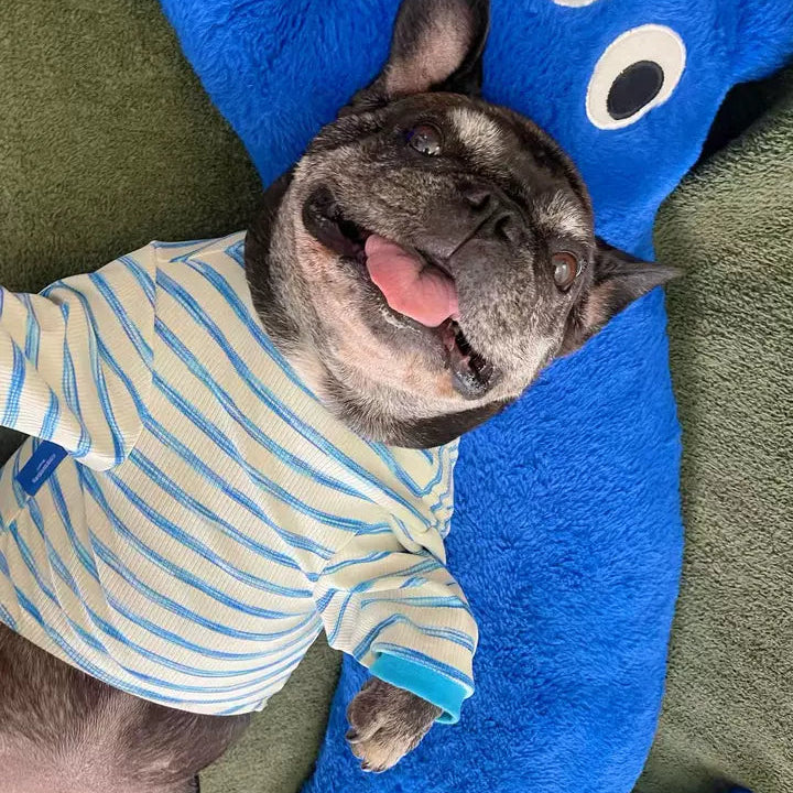 Stretchy Pocket Shirt FrenchBulldogSpringAutumnshirtwithpocketbyFrenchiely_2