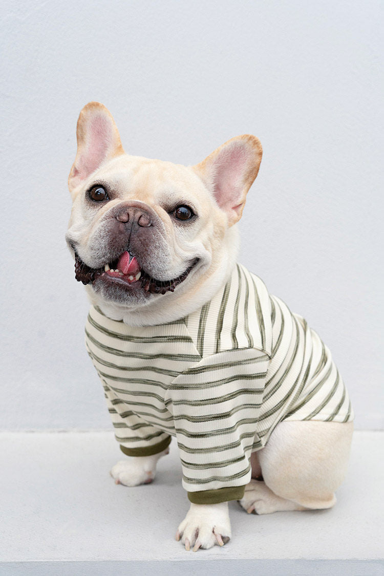 Stretchy Pocket Shirt FrenchBulldogSpringAutumnshirtwithpocketbyFrenchiely_4