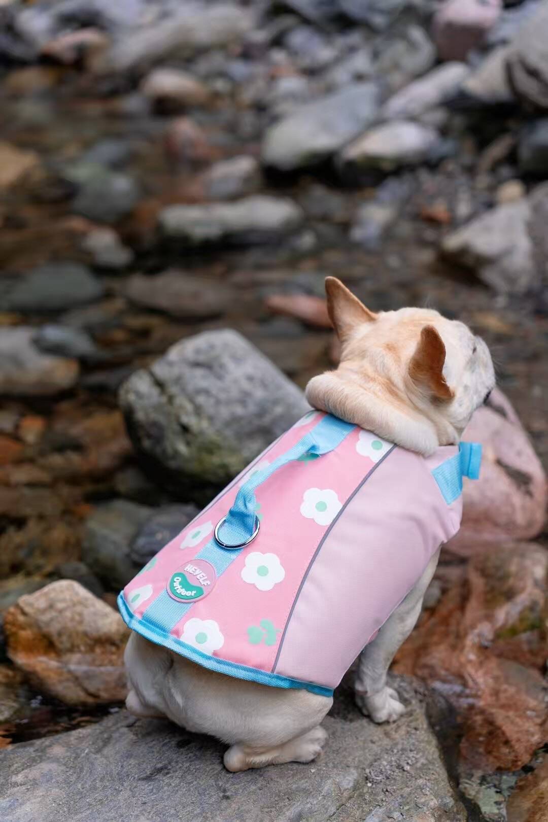Bulldog Swim Lifejacket FrenchBulldogSwimLifejacketTrunkbyFrenchiely_13