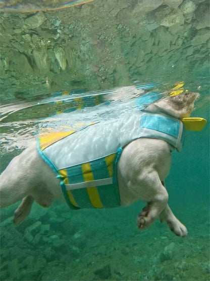 Bulldog Swim Lifejacket FrenchBulldogSwimLifejacketTrunkbyFrenchiely_19