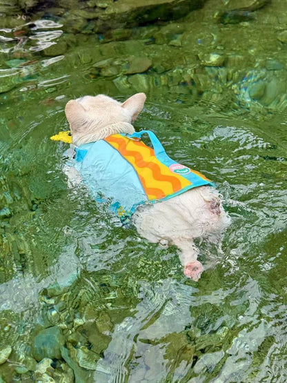 Bulldog Swim Lifejacket FrenchBulldogSwimLifejacketTrunkbyFrenchiely_21