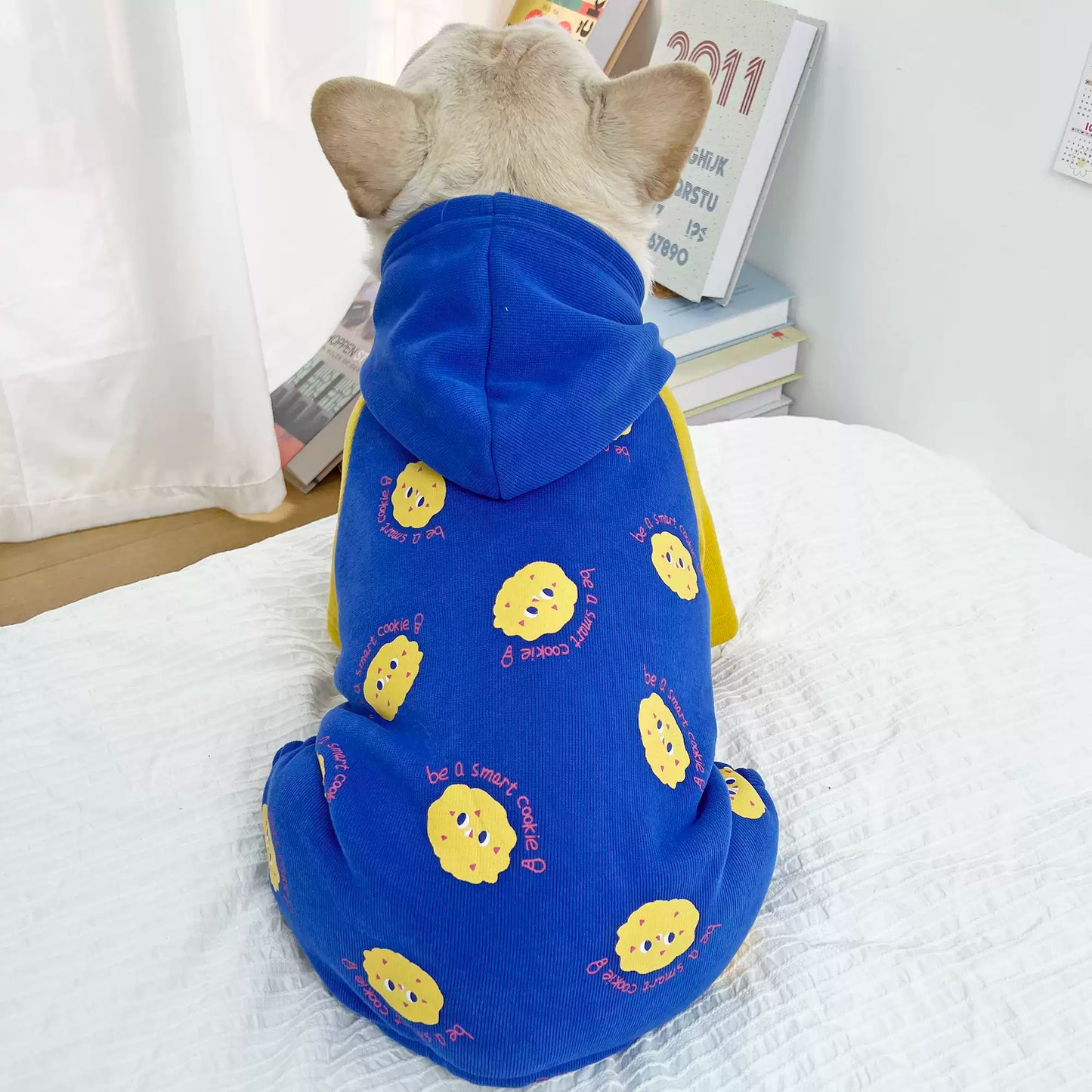 Winter Jumpsuit Loungewear