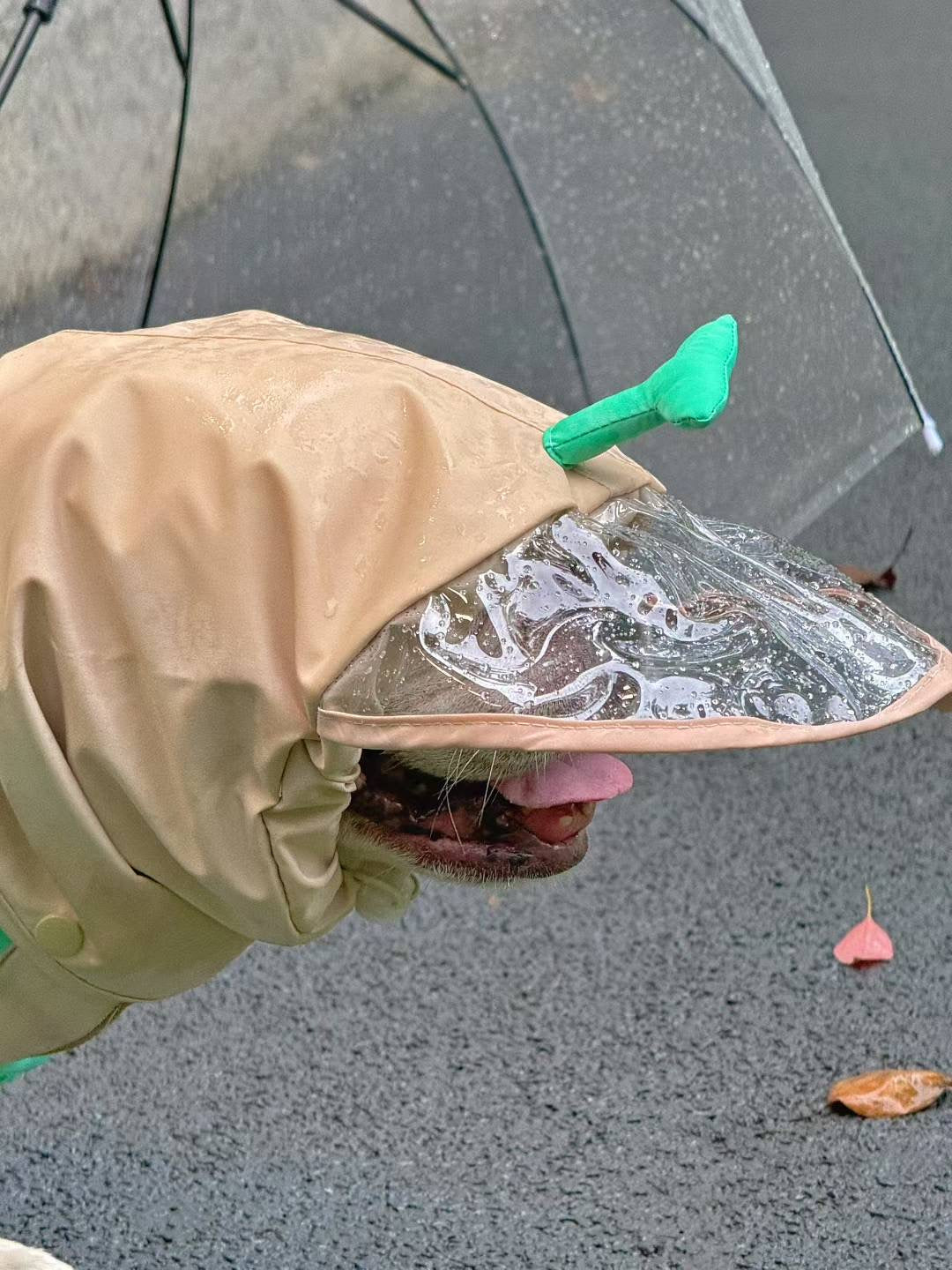 French Bulldog Frog Raincoat FrenchBulldogcartoonfrogonesieraincoatbyFrenchiely_1